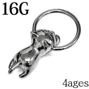 {fBsAX 16G LLveBuO / 16Q[W XeX Vo[ u sAX lR Lbg CBR fUC `[ Lb` `[t {fB[sAX   Aj} 16