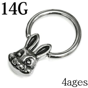 {fBsAX 14G rbgwbhLveBuO / 14Q[W XeX Vo[ u sAX e ETM CBR LveBu `[ Aj} {fB[sAX   A