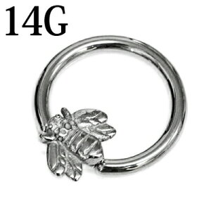 {fBsAX 14G XeX ILveBur[YO / 14Q[W Vo[ ւ CBR u z[ `[t  fUC t[v Bee n` ~co` I  