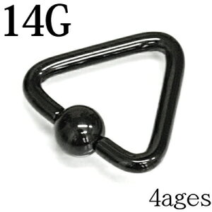 {fBsAX 14G gCAOLveBuO / 14Q[W ubN ό` Op` XeX ͂ߍ t[v  u sAX Lb`  킢 PVD