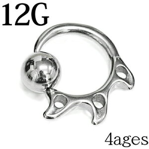 {fBsAX 12G XeX NEhLveBur[YO / 12Q[W Vo[ ւ CBR u z[ `[t  fUC AM[Ή 