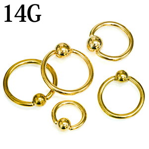 {fBsAX 14G LveBur[YO / XeX S[h 14Q[W ւ O CBR 316L Vv  t[v PVD sAX OsAX t[vsAX