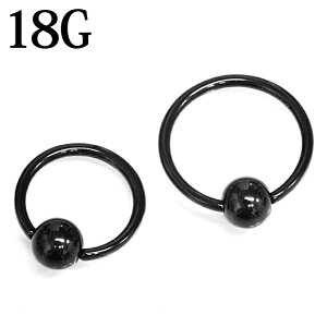 {fBsAX 18G LveBur[YO / XeX ubN 18Q[W ւ O CBR  Vv At[ AM[Ή sAX u T[WJ ͂ߍ ͂ߍ 