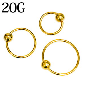 {fBsAX 20G LveBur[YO / XeX S[h 20Q[W ւ O CBR 316L Vv Lb` ͂ߍ OsAX PVD sAX gKX