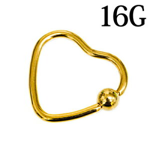 {fBsAX 16G XeX n[gO / 16Q[W S[h ւ CBR u z[ LveBur[YO `[t sAX AM[Ή LveBuO ό` 킢