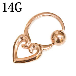 {fBsAX 14G XeX n[g`[tLveBuO / 14Q[W [YS[h 킢 CBR u `[t sAX fUC r[YO PVD