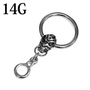 {fBsAX 14G XeX `[tXJLveBuO / 14Q[W Vo[ ւ CBR u z[  `[t sAX hN [ t[v OsAX 