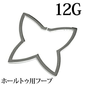 {fBsAX 12G XeX o^tCt[v / 12Q[W Vo[ `[t O u z[ z[gD `E    X 킢 傫 傫߃`[t tLVu A