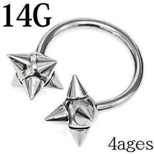 yz֑z{fBsAX 14G T[L[_u@CLO / 14Q[W Vo[ XeX u sAX wbNX XpCN XN[ J[u Zv^ gQ {[ A