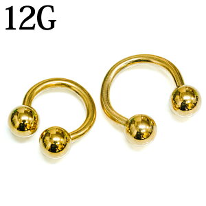 {fBsAX 12G J[T[L[o[x / 12Q[W S[h XeX u sAX wbNX  J[u T[WJ PVD  킢