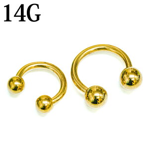 {fBsAX 14G J[T[L[o[x / 14Q[W S[h XeX u sAX wbNX Vv  XNp[  T[WJ PVD  킢