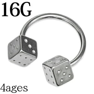 {fBsAX 16G _CX{[tT[L[o[x / 16Q[W Vo[ XeX u  wbNX TCR XN[ J[u z[ `[t