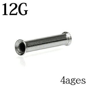 {fBsAX 12G XeX _utAACbg / 12Q[W Vo[ g [Wz[ nCQ[W u XeX gl  RN sAX ͂ߍ T[WJ AM