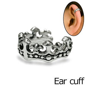 WEbLR[eBOfUCCJt / Vo[ C[Jt CJt CO ^J AM[Ή  `[t ANZT[ ͂ 1  fUC eBA