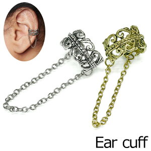 `F[tNgZeBbNn[gCJt / Vo[ S[h C[Jt CJt ANZT[ ^J CO 킢 ͂  AM[Ή Y fB[X A