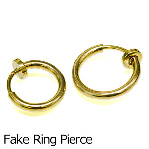 tFCNOsAX / 1 olsAX S[h CJt C[Jt CO Vv ͂ sAXɌ OsAX t[vsAX   킢  ANZ