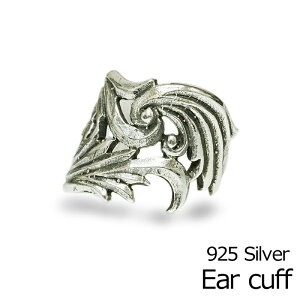 yz֔zfUCCJt / t[TCY Vo[925 CJtX C[Jt Vo[ 킢 msAbVO |Cg  `[t Vv 1 Е ANZT