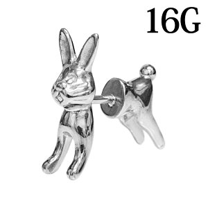 {fBsAX 16G XeX rbgtFCNvO / 16Q[W Vo[ tFCNsAX u `[t sAX o[x AM[Ή Aj} ETM e 킢