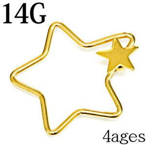 {fBsAX 14G X^[O&X^[{[ / 14Q[W S[h ό` XeX LveBuO  킢 傫 `[t PVD  