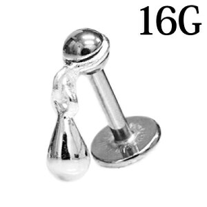 {fBsAX 16G XeX eBAhbv`[tubg / 16Q[W Vo[ gKX Xg[g u sAX wbNX {fB[sAX `[t  킢