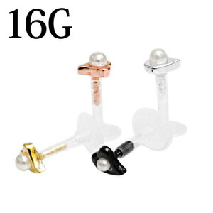 {fBsAX 16G [t`[tvbVsubg / 16Q[W PTFE {fB[sAX gKX sAX u } _炩 ȒP `[t 킢 Vo[ NA  t 