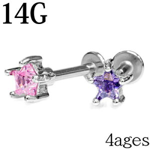 {fBsAX 14G X^[WGtubg / 14Q[W LL  CZ `[t sAX u wbNX   Ē 킢