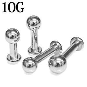 {fBsAX 10G ubgX^bh / 10Q[W Vo[ XeX s sAX u gKX Vv sAX  AM[Ή