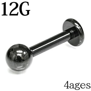 {fBsAX 12G ubgX^bh / 12Q[W XeX ubN s sAX gKX sAX o[x C[u bv sAX Vv   PVD lW p 12g