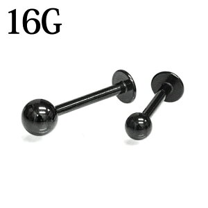 {fBsAX 16G XeXubgX^bh / 16Q[W ubN  BLACK sAX s u gKX Vv sAX  PVD