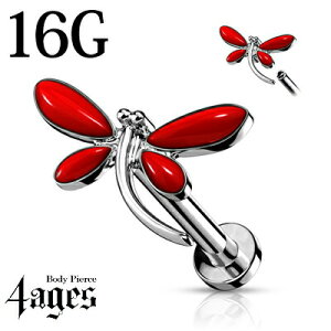 {fBsAX 16G g{`[tttlWubg / XeX Vo[ o[x sAX C[u gKX {fB[sAX C^[i 16Q[W 킢 ԂƂ hS