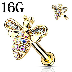 yz֑z{fBsAX 16G tlWIubg / XeX S[h o[x sAX C[u gKX {fB[sAX C^[i 16Q[W 킢 n`   Bee P