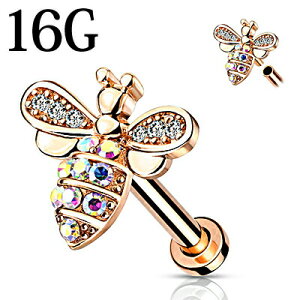 yz֑z{fBsAX 16G tlWIubg / XeX [YS[h 16g o[x sAX C[u gKX {fB[sAX C^[i 16Q[W 킢 n` 