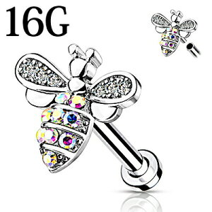 yz֑z{fBsAX 16G tlWIubg / XeX Vo[ sAX o[x sAX u gKX {fB[sAX C^[i 16Q[W 킢 n`   B