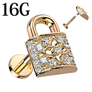 yz֑z{fBsAX 16G 싞`[tttlWubg / XeX [YS[h sAX o[x sAX u gKX {fB[sAX C^[i 16Q[W