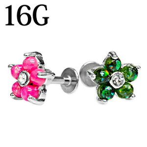 {fBsAX 16G XeX Ip[Ob^[Zbgt[ubg / Vo[ 16g o[x sAX C[u  {fB[sAX  16Q[W Ē 킢 LL