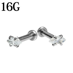 16G {fBsAX }[L[YCZttlWubg / XeX 16Q[W Vo[ u sAX gKX   lW 킢