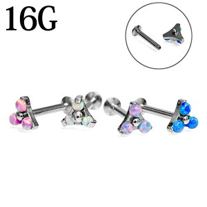 {fBsAX 16G gCAOIp[ttlWubg / XeX Vo[ sAX o[x sAX u gKX {fB[sAX C^[i 16Q[W 킢 A