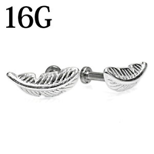 {fBsAX 16G tFU[ubg / 16Q[W XeX Vo[ Xg[g  u gKX H H 킢 `[t