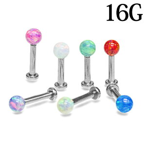 {fBsAX 16G XeX VZeBbNIp[p[ctubg / Vo[ sAX X^bh sAX u gKX 킢 16Q[W 