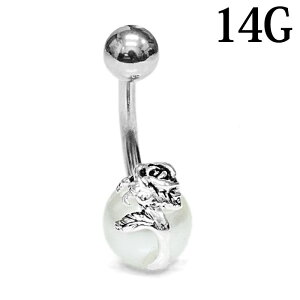 {fBsAX 14G XeX [Y`[tւsAX / 14Q[W Vo[ J[uho[x w\sAX lCu u ւs ix  t[ o KN oiio[x 킢 A