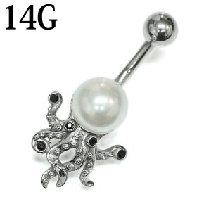 yz֔z{fBsAX 14G XeX INgpXւsAX / 14Q[W Vo[ J[uh w\sAX lCu u  ^R 킢 fUC `sAX oiio[x p[