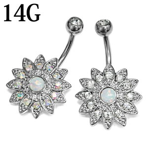 yz֑z{fBsAX 14G XeX Z^[Ip[t[ւsAX / 14Q[W Vo[ J[uh w\sAX lCu u CZ WF  `sAX ւs w\s 킢