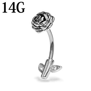 {fBsAX 14G XeX [YXe`[tւsAX / 14Q[W Vo[ oiio[x w\sAX lCu C[u 14g ix KN fUC o AM[Ή  {