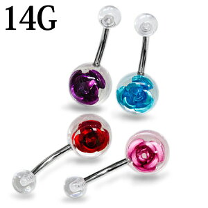 {fBsAX 14G ^[YAN{[ւsAX / 14Q[W Vo[ XeX  w\sAX lCu u o KN  ` 킢 `sAX AM[Ή 