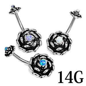 {fBsAX 14G Ip[Z^[[YtlWւsAX / XeX Vo[ 14Q[W oiio[x w\sAX lCu `sAX C[u lW 킢 o  KN ix 1