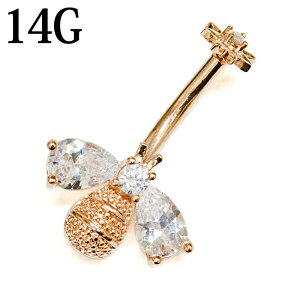 {fBsAX 14G XeX IւsAX / 14Q[W [YS[h J[uh w\sAX lCu C[u 킢 14g  ` {fB[sAX tlW    t[ n` ւsA