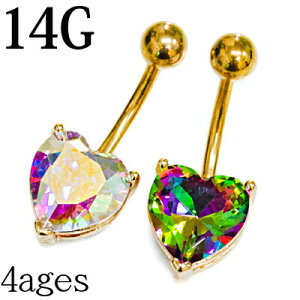 {fBsAX 14G n[gNX^ւsAX / XeX oiio[x S[h 14Q[W WG WF CZ ւs w\s  316L T[WJ lCu n[g ix 킢 `