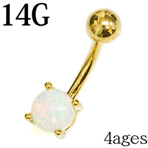 {fBsAX 14G XeX Ip[tւsAX / 14Q[W S[h J[uho[x oiio[x w\sAX ւs lCu u Vv `sAX 킢 PVD