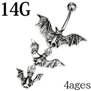 {fBsAX 14G XeX SVbNREoiio[x / 14Q[W Vo[ J[uho[x w\sAX ւs lCu u   `sAX  킢