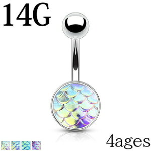 {fBsAX 14G XeX tBbVXP[ւsAX / Vo[ 14Q[W oiio[x w\s  lCu TJi   `sAX  낱 킢 C[u A